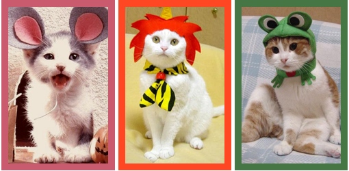 Cat Costumes - Homemade Costumes for Cats