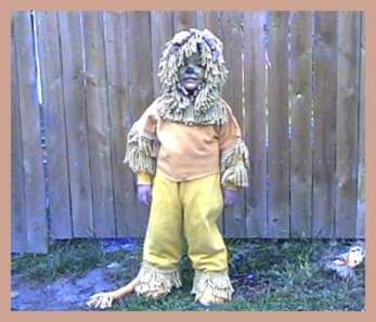 The Wizard of Oz Cowardly Lion Costume