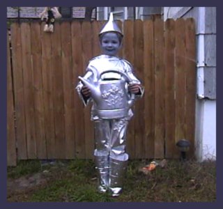 Wizard of Oz Tin Man Homemade Costume