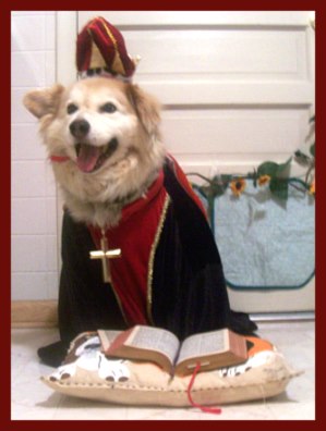 Dog in a pope costume