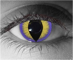Colored Contact Lenses for Halloween (Purple Kitty)