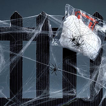 Cobwebs Spiders decoration