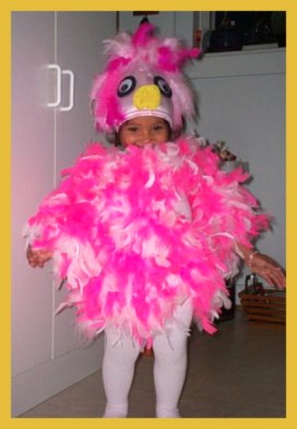 Pink Bird Costume for girls
