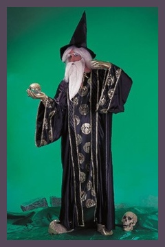 Wizard Merlin